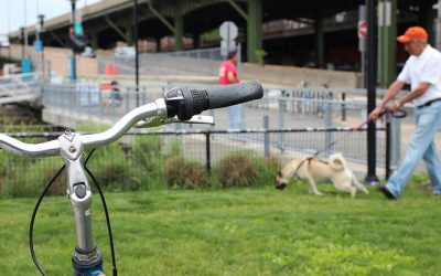 Lojas de bicicleta em Nova York