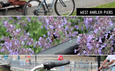 Pedalando em Nova York – Manhattan