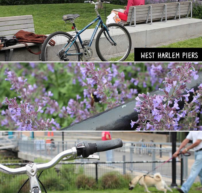 Pedalando em Nova York – Manhattan