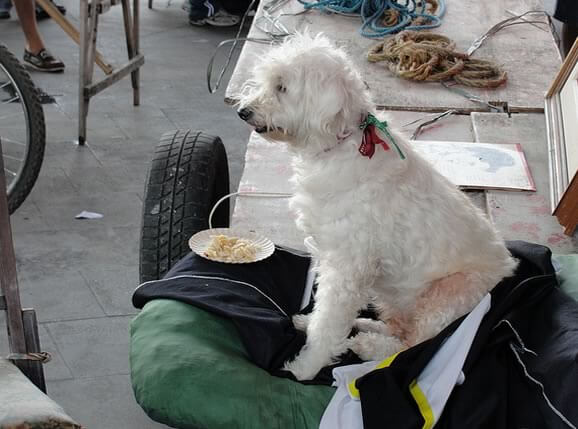 Guia Rio de Janeiro – Centro do Rio