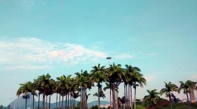 InstaMeet – MAM Rio de Janeiro