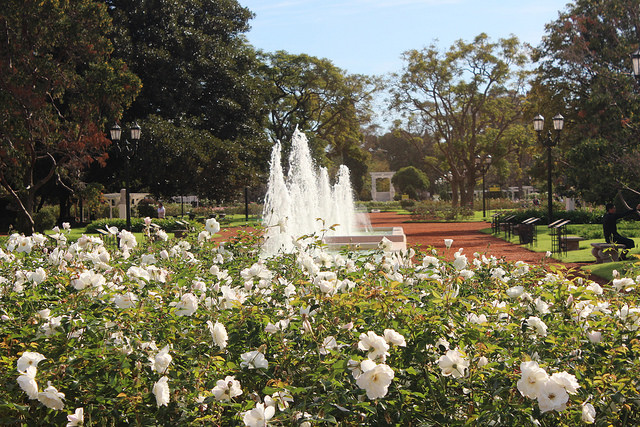 Alice no Rosedal em Buenos Aires