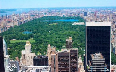 Pontos Turísticos de Nova York: Lugares Incríveis para Sua Viagem