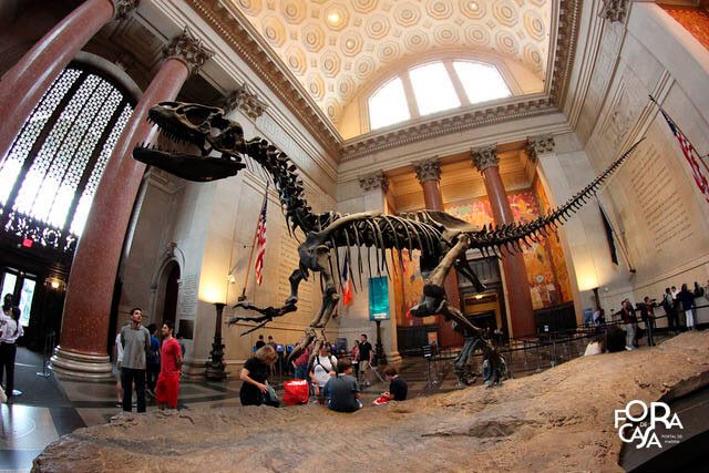Museu de História Natural | Pontos Turísticos de Nova York