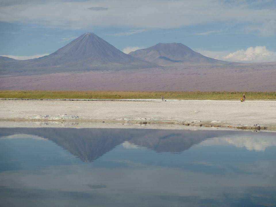 laguna-cejar-atacama-chile1