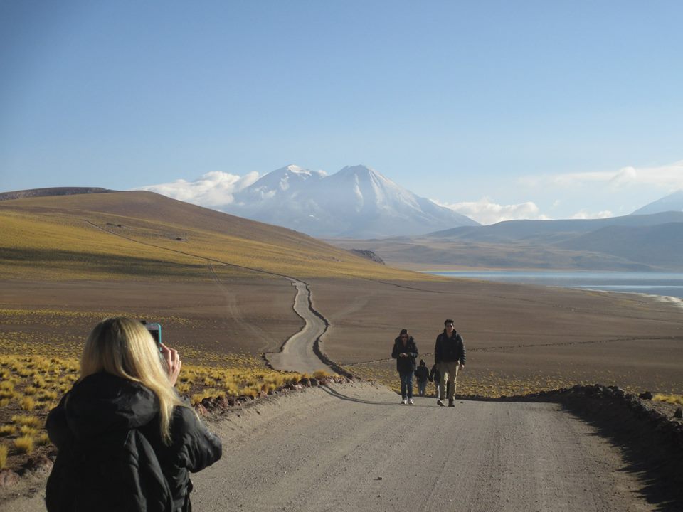 lagunas-altiplanicas-atacama-chile