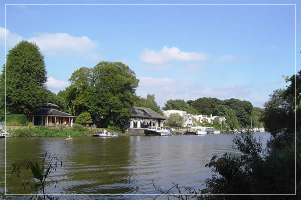 Eel Pie Island | Programas de graça em Londres