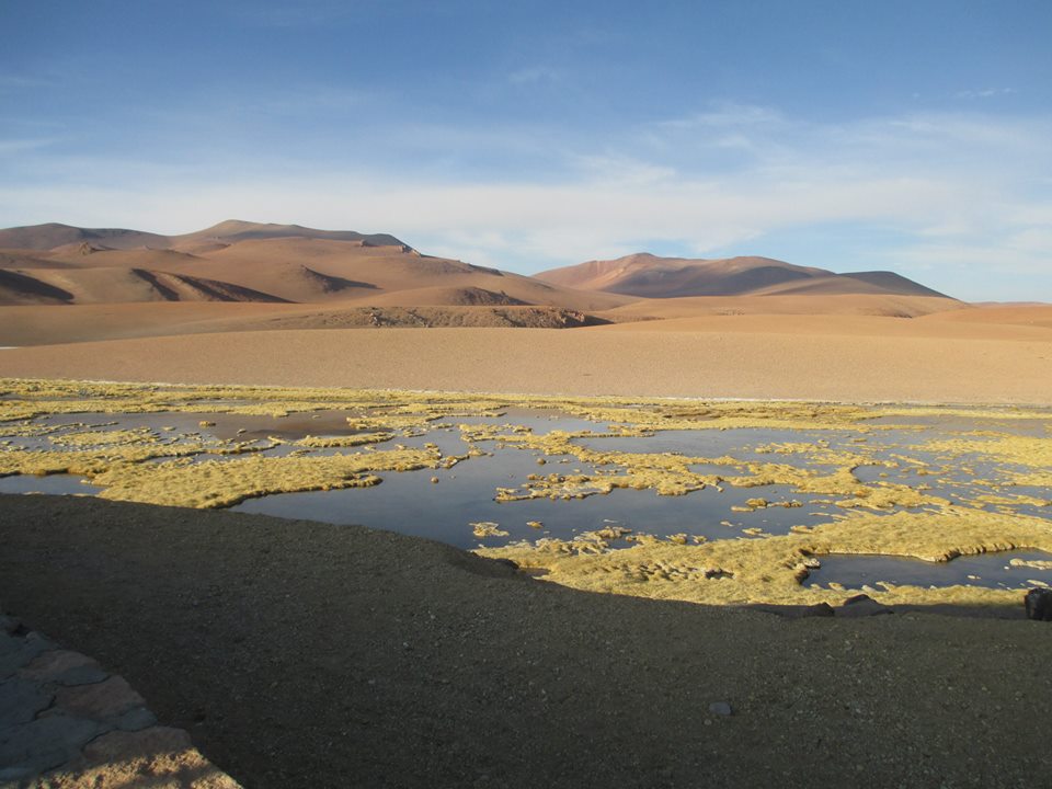 salar-de-tara